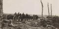Horsing the British Army, 1914-18 image