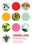 Common Lands Exhibition image