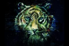 Tiger Under The Skin image