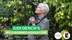 Judi Dench's Wild Borneo Adventure Special Premiere + Q&A with Judi Dench image