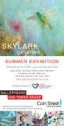 Skylark Galleries Summer Exhibition image
