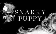 Snarky Puppy image