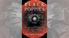 Black Poppies image