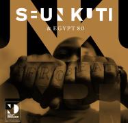 Seun Kuti & Egypt 80 image