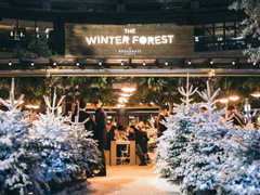 Winter Forest image