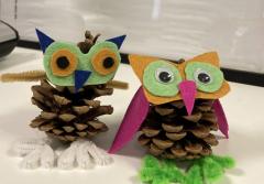 Make a pet from a pine cone image