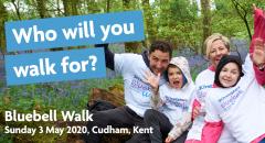 Bluebell Walk 2020 image