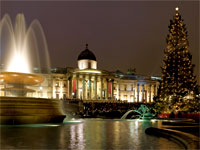 Christmas Tree in Trafalgar Square image