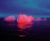 UNFOLD Art from Cape Farewell, an exhibition on climate change image
