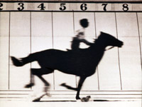 Eadweard Muybridge image