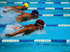 Olympic Swimming image