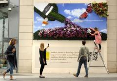Banrock Station creates world’s first living billboard made entirely of British flowers image