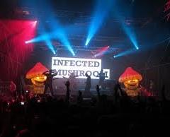 Infected Mushroom Live Concert  image