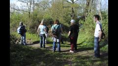 Nature & photo walk in Abbey Wood image