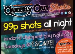 QueerlyOut Shots Launch Night image