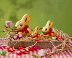 Lindt Gold Bunny Easter Hunt image