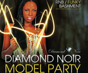 Diamond Noir Model Party image