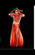 Bodies in Motion: Dancing Gender: Gender and Identity among Native American Two Spirits  image