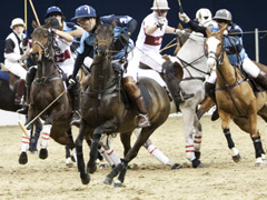 Gaucho International Polo At The 02 image