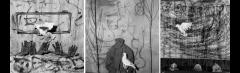 Roger Ballen Photography Lecture image