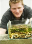 Pond dipping for adults  image