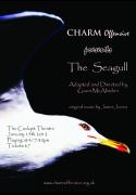The Seagull image