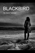 Blackbird by David Harrower image