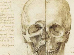 Leonardo da Vinci: Anatomist image