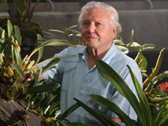 Meet the Filmmaker: David Attenborough for Kingdom of Plants 3D image