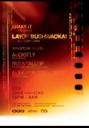 Shake it pres Layo & Bushwacka!, Audiofly, Russ Yallop plus guests image