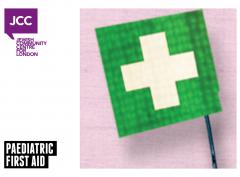 Paediatric First Aid image