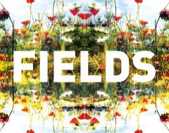 Fields #4 - Max Cooper, D/R/U/G/S, Rival Consoles, Enjoyed  image