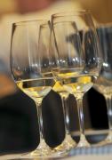 World’s largest wine competition offers wine enthusiasts chance to taste award winning wines image
