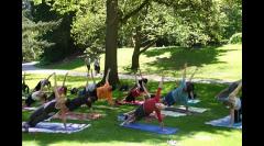 Free Yoga in the Park image