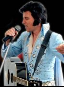 Elvis - A Tribute to The King image