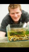 Pond Dipping For Adults image