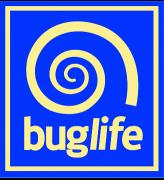 Buglife's World Record Attempt Beetle Drive Game image