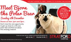 Meet Bjorn the Polar Bear image