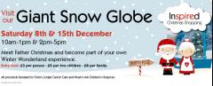 Giant Snow Globe image