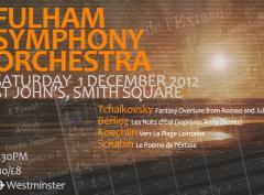 Fulham Symphony Orchestra Winter Concert image