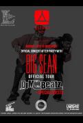 The Official BIG SEAN Concert After-Party image