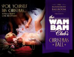 The Wam Bam Christmas Ball image