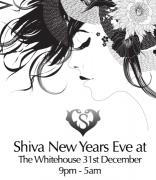 Shiva - The Black and White New Year’s Eve Ball image