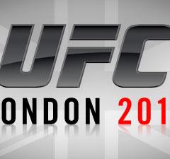 Ultimate Fighting Championship®: London 2013 image