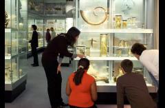 A Young Person's Guide to the Hunterian image