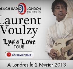 Laurent Voulzy live in concert image