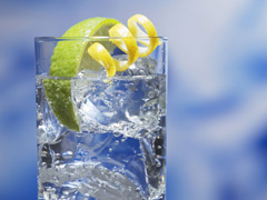 Make Mine a Dry One: The History of London Gin image