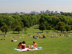The history of Primrose Hill image