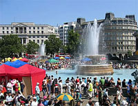 Get Festive This Summer! image