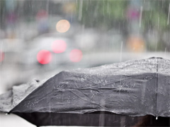 Things to do in London when it's raining image